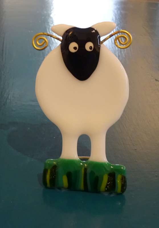 Sheep
